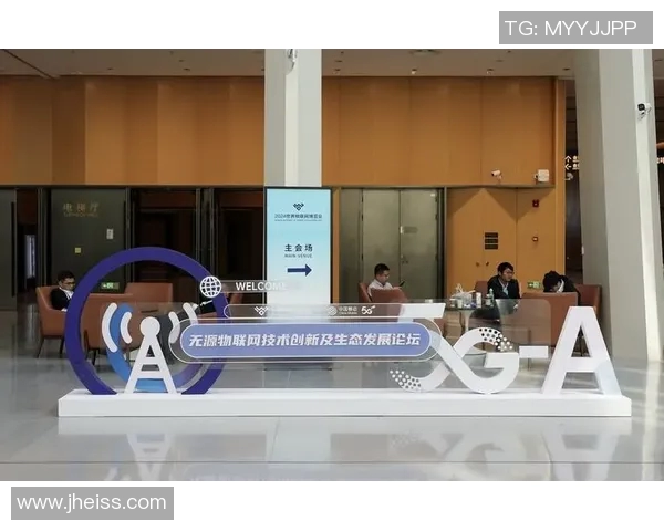 专访王敏：深入探讨排球运动的成功秘诀与未来发展方向