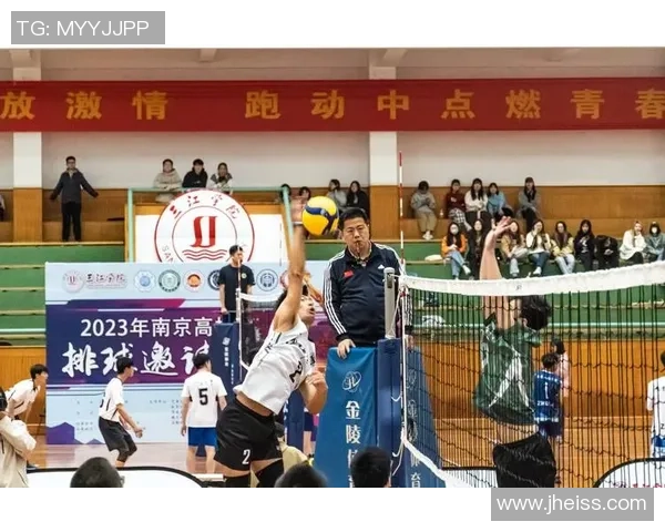 聚焦排球：南京排球队的耐力话题